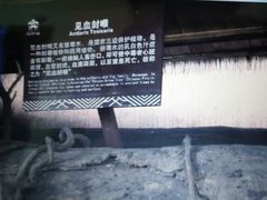 -海南槟榔谷黎苗文化旅游区