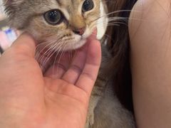 -伟伟宠物医院·CT影像中心·瑞派犬猫综合性门诊(汉口总院)