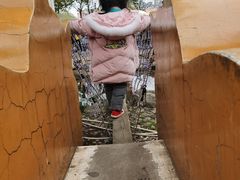 -南昌之星游乐场