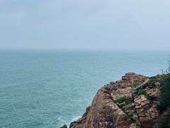 -广东惠东海龟国家级自然保护区