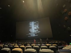 -星河寰宇IMAX影城(星河WORLD·COCO Park店)