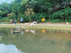 -美兰湖景区