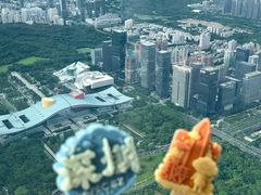 -平安金融中心云际观光层