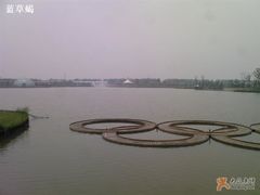 -上海都市菜园