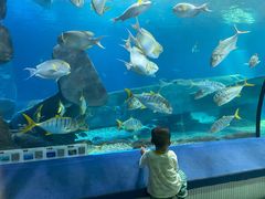 -福州罗源湾海洋世界旅游区