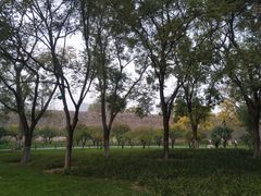 -北京明城墙遗址公园
