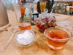 -柴务处·柴犬主题狗咖