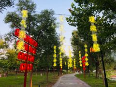 -函谷关历史文化旅游区