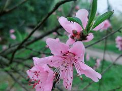 -贵阳市花溪国家城市湿地公园