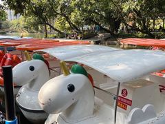 -晓港公园