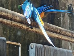 -大连森林动物园