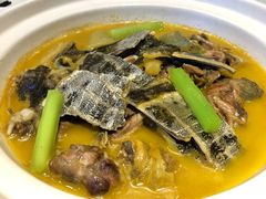青浦甲鱼-信园