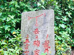 -西湖风景区十里琅珰-五云山