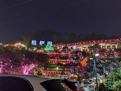 -枇杷园食为鲜火锅(南山店)