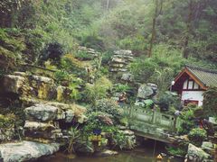 -南山植物园