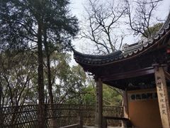 -灵岩山风景区