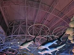 -烟台海昌鲸鲨海洋公园