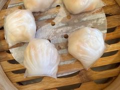 -北园酒家(小北路店)