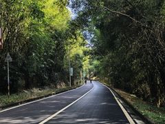 -孔雀湖生态旅游区