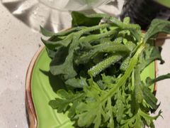 -一叶一世界•素食餐厅(环球中心店)
