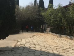 -函谷关历史文化旅游区