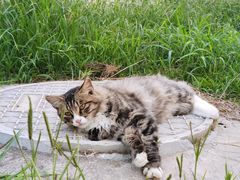 -北京西山国家森林公园