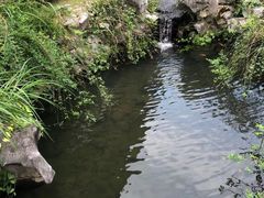 -杭州西湖柳莺里酒店·闻莺厅