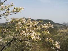-金堂县云顶石城风景区