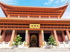 -深圳仙湖植物园