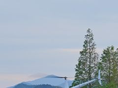 -江南天池