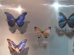 -吉林省自然博物馆