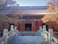 -香山公园