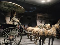 -秦始皇帝陵博物院-丽山园