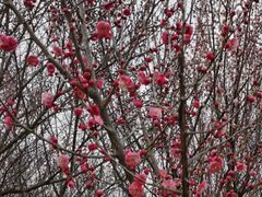 -蜀冈西峰生态公园