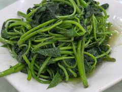 炝苕尖-廖老妈蹄花店(人民公园陕西街259号店)