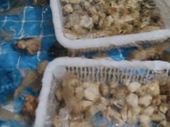 -锅老头铁锅炖•大锅蒸汽海鲜(韩乐坊店)
