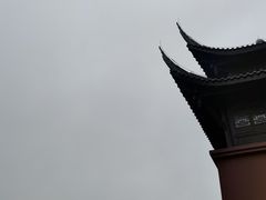 -南山老地方泉水鸡(南山店)