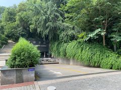 -三百碗宝应长鱼面(板仓街店)