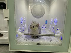 -爱洗澡的猫(望京店)