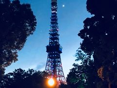 -东京塔海贼王主题公园