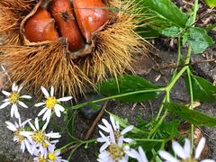 -丹东市五龙山风景区
