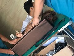 -安安宠医·安宠宠物医院