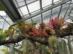 -国家植物园南园