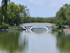 -大兴滨河森林公园