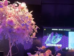 -黑桃K生日订制KTV
