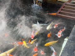 -石涧故事·私房菜(紫云路店)