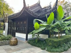 -红梅公园