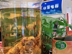 -长寿参鸡汤(朝韩风情街店)