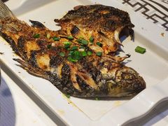 烤鲫鱼-庞家烧烤客栈(炮台山店)