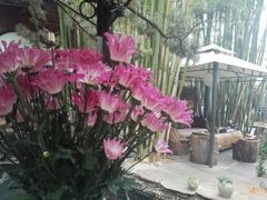android_upload_pic-新竹里馆·花园餐厅(兴苑路店)